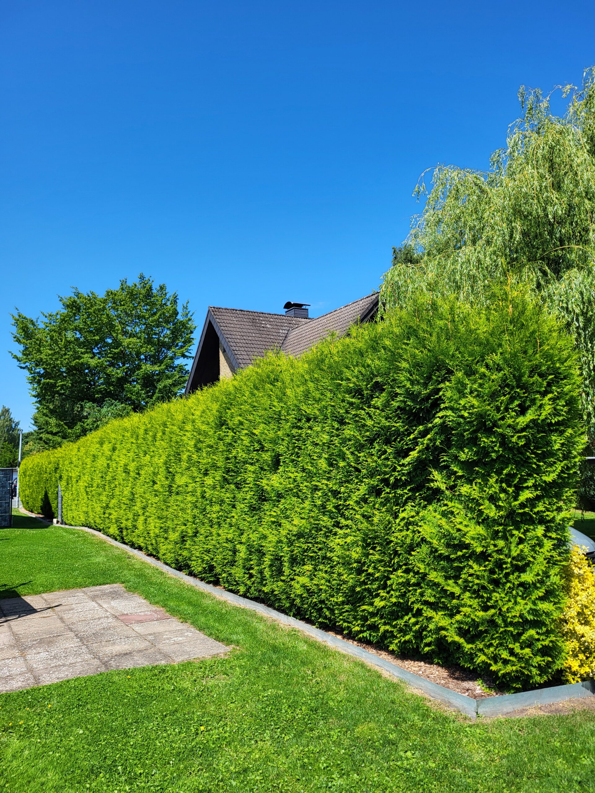1000062534_vorher - Kopie